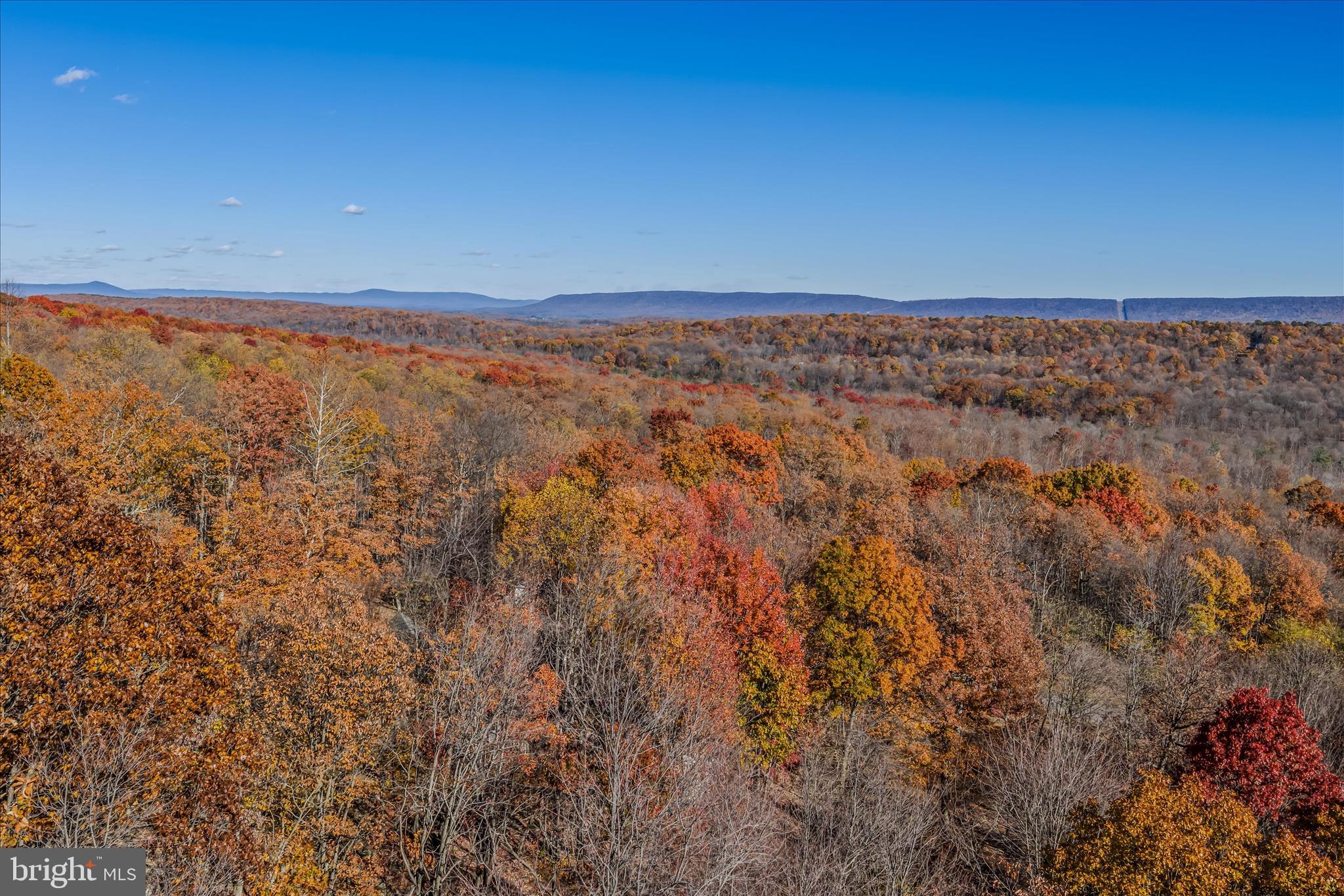 601 PARKSIDE TERRACE