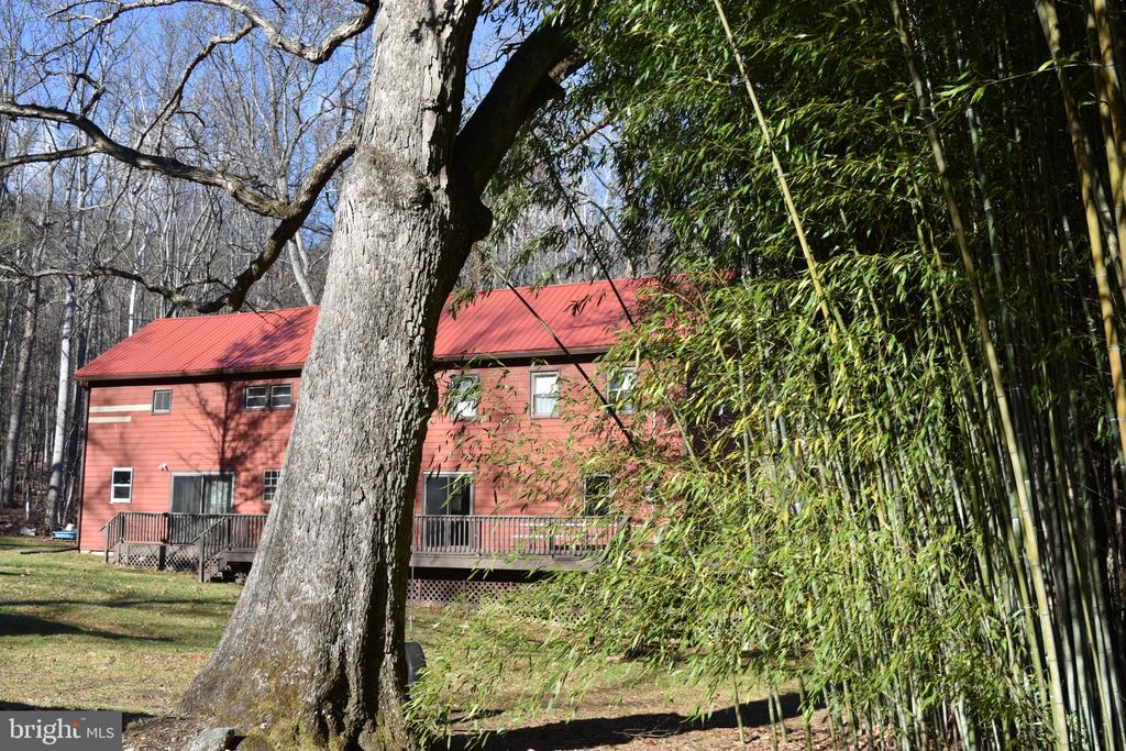 1417 MOUNTAINSIDE