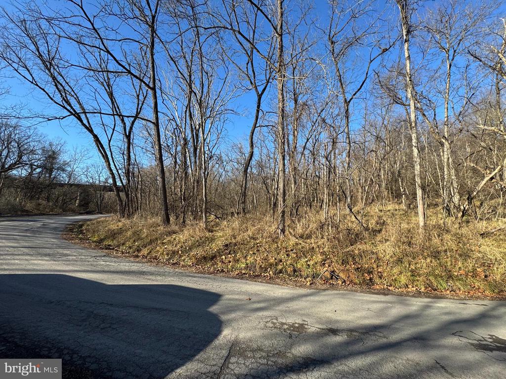 MAGNOLIA RD