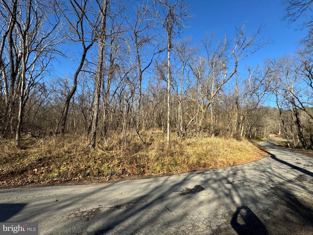 MAGNOLIA RD