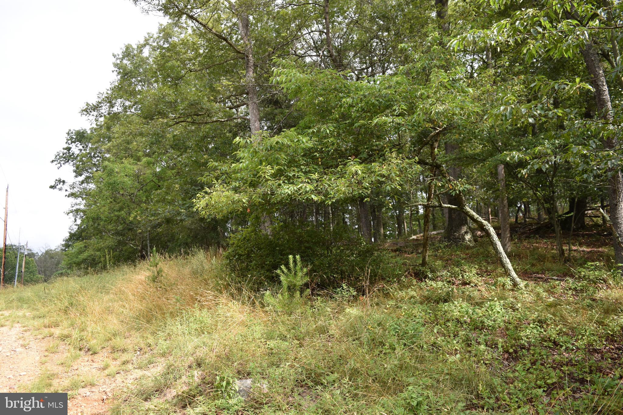 MAGNOLIA RD