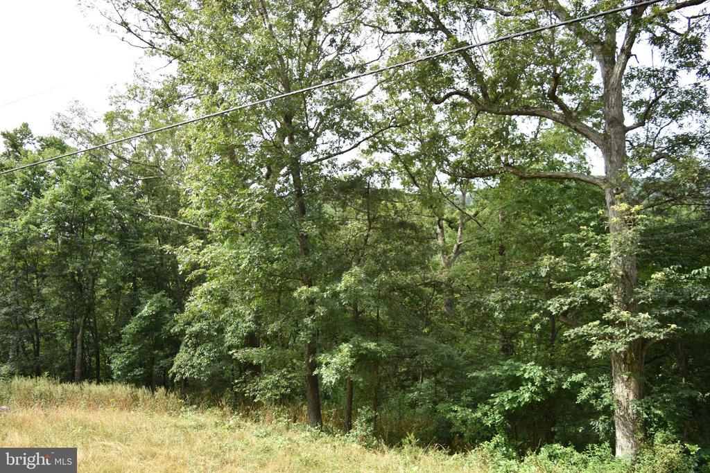 MAGNOLIA RD