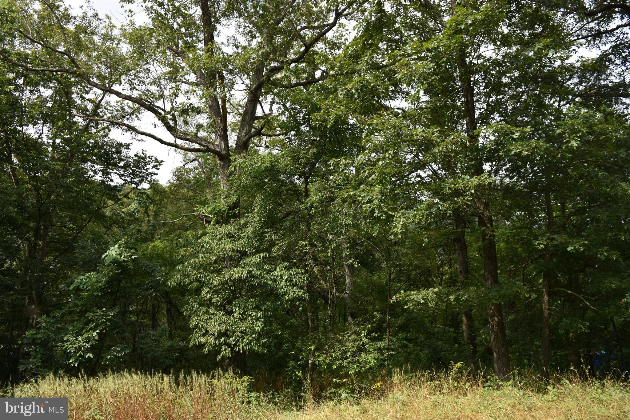 MAGNOLIA RD