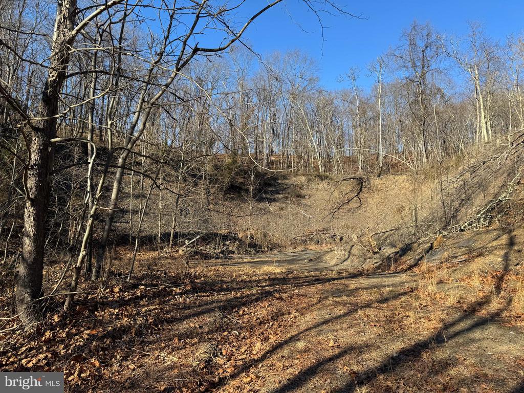 MAGNOLIA RD