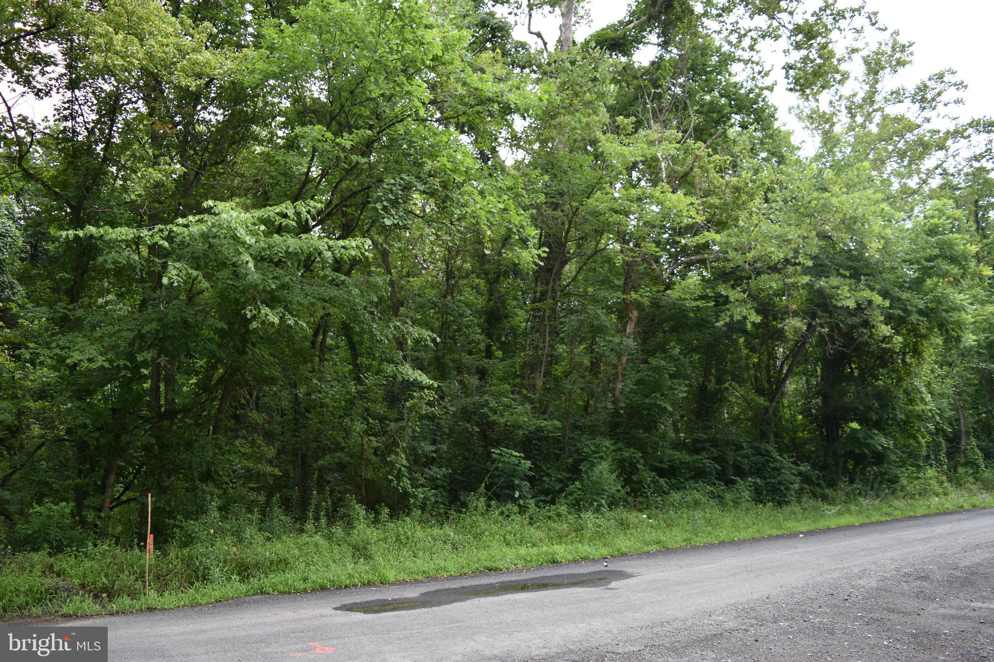 MAGNOLIA RD