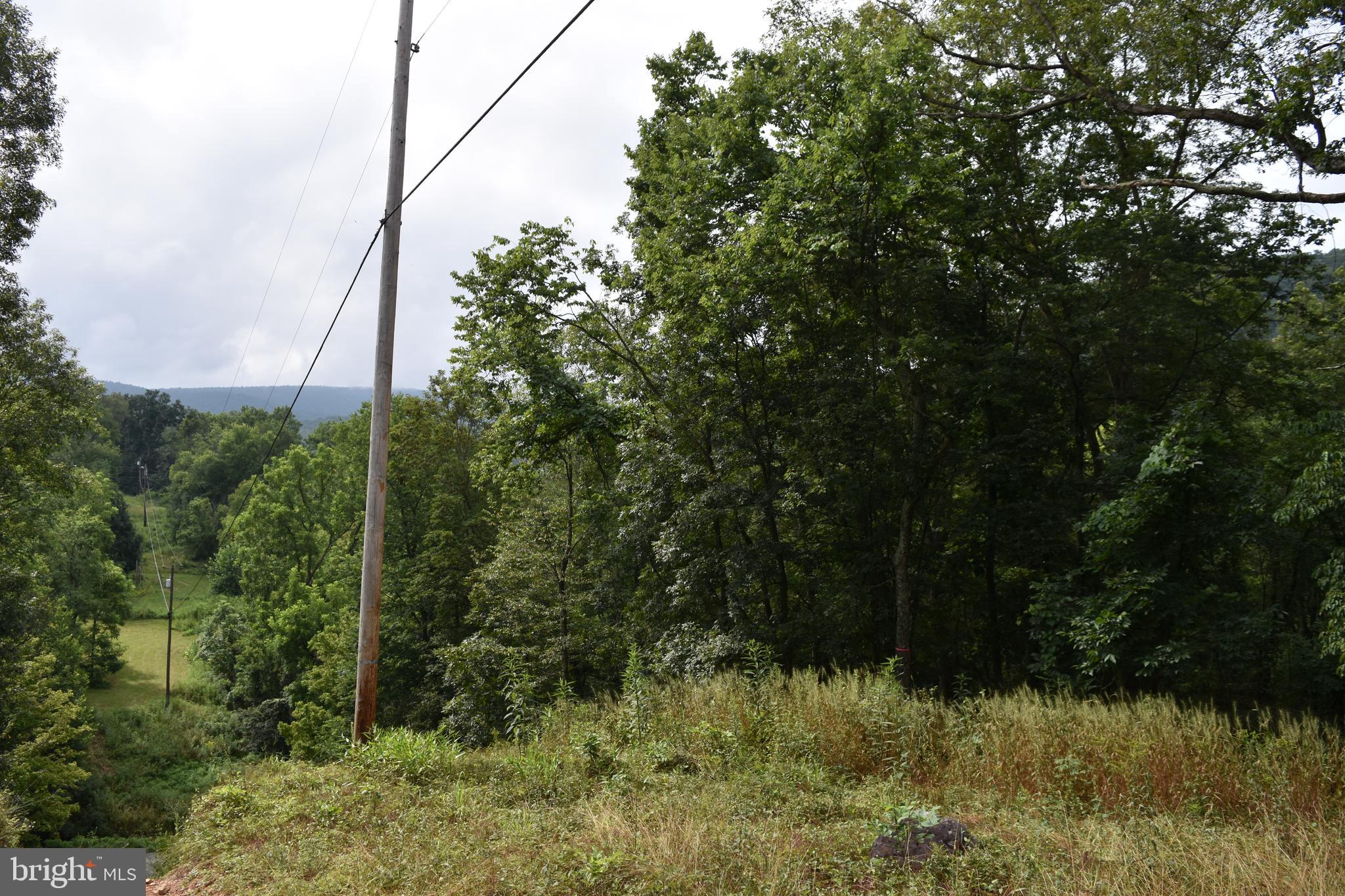 MAGNOLIA RD