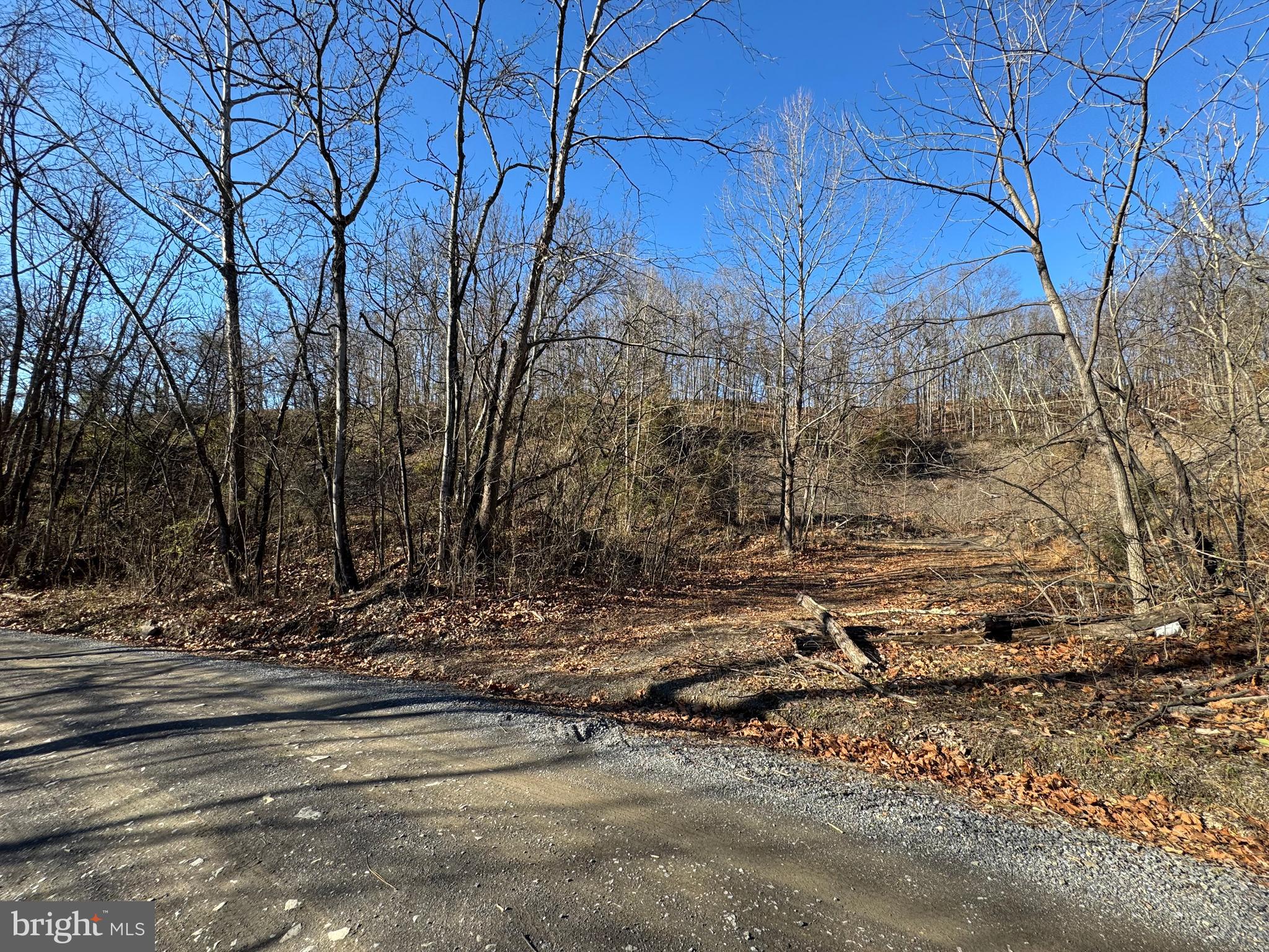 MAGNOLIA RD