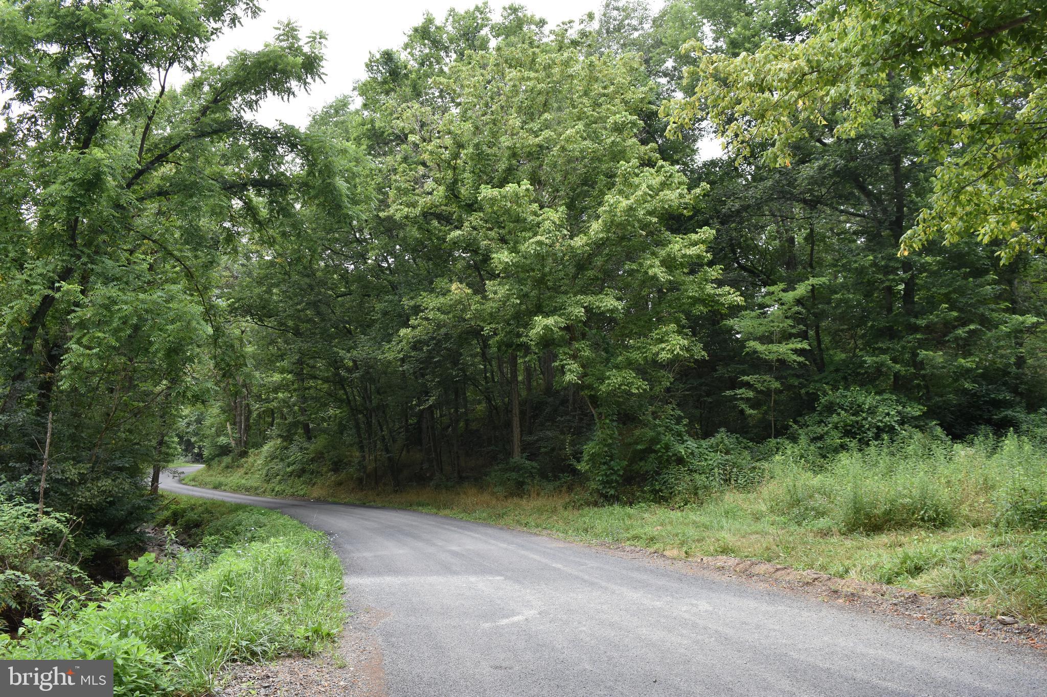MAGNOLIA RD