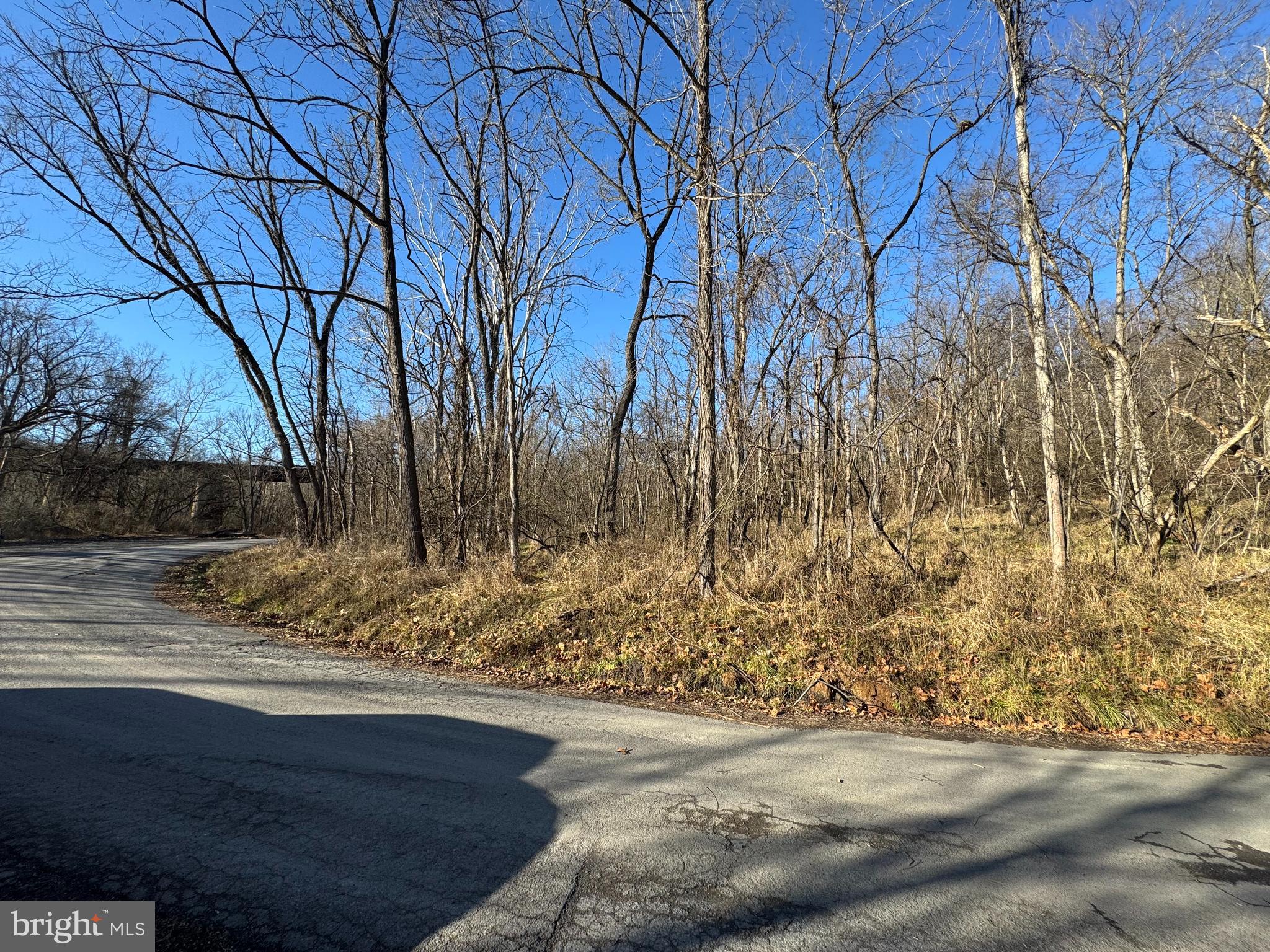 MAGNOLIA RD