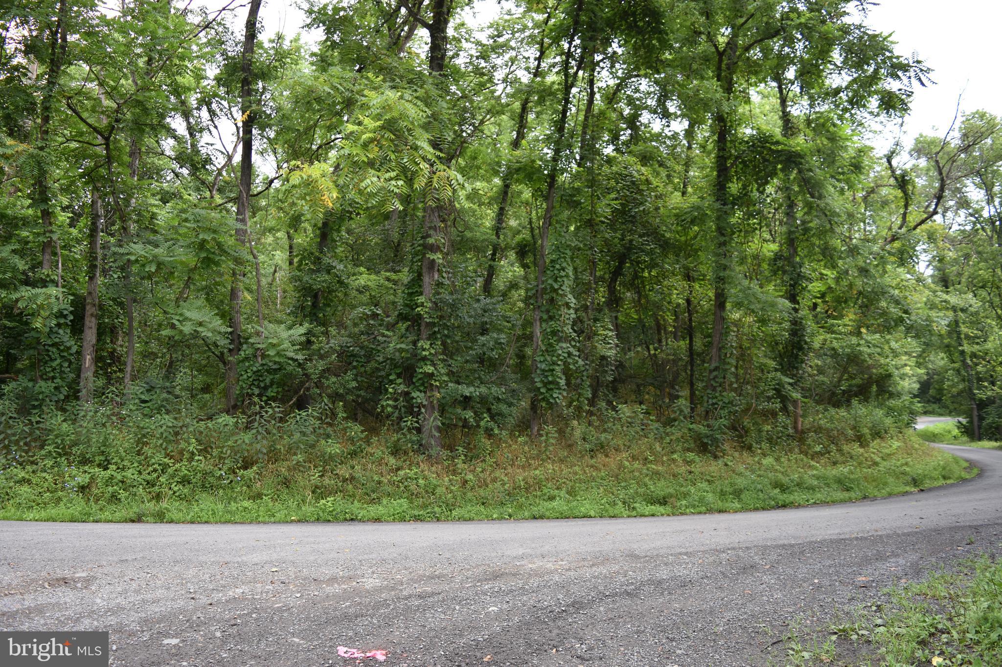 MAGNOLIA RD