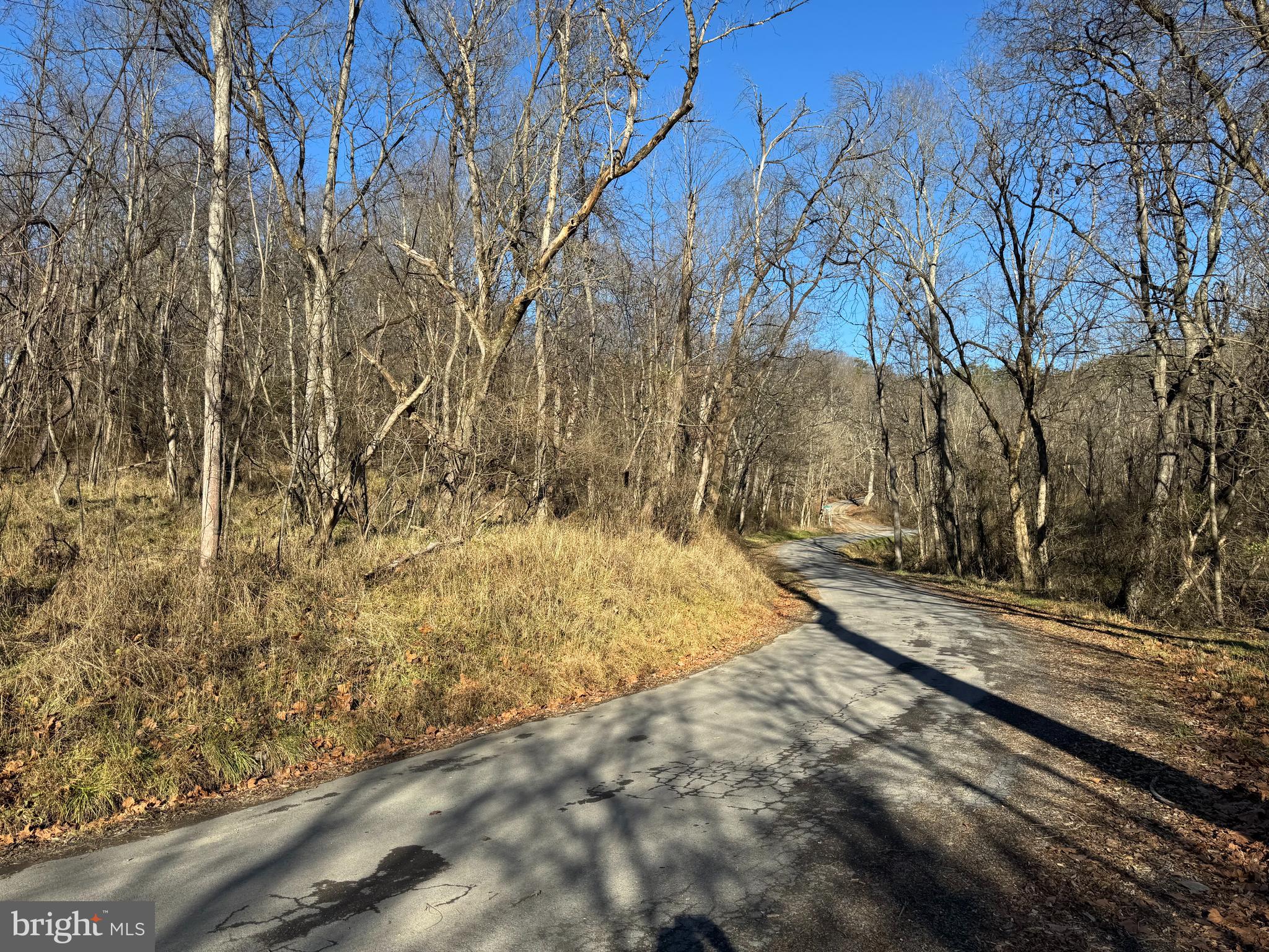 MAGNOLIA RD
