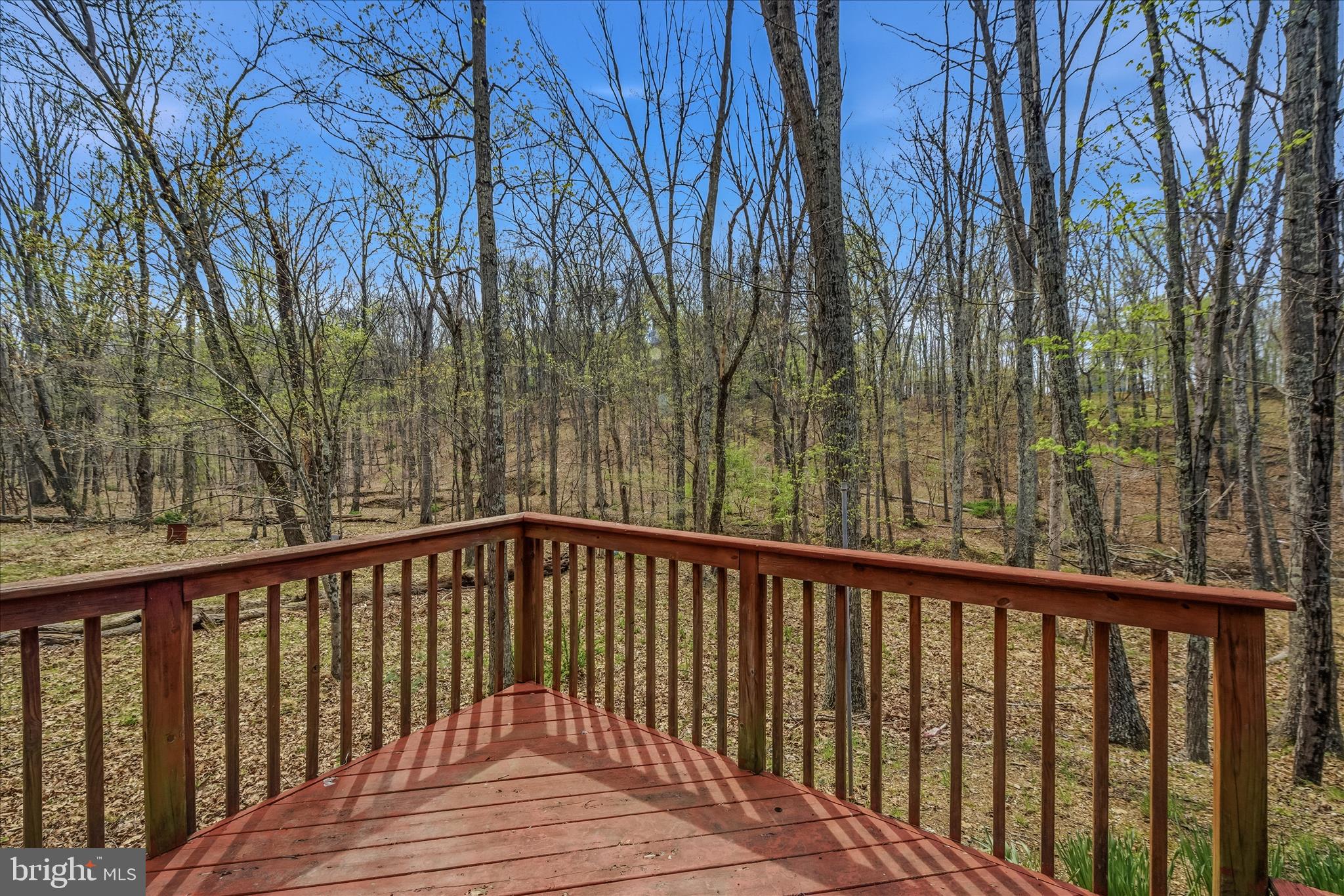 264 CLEAR SPRING LANE