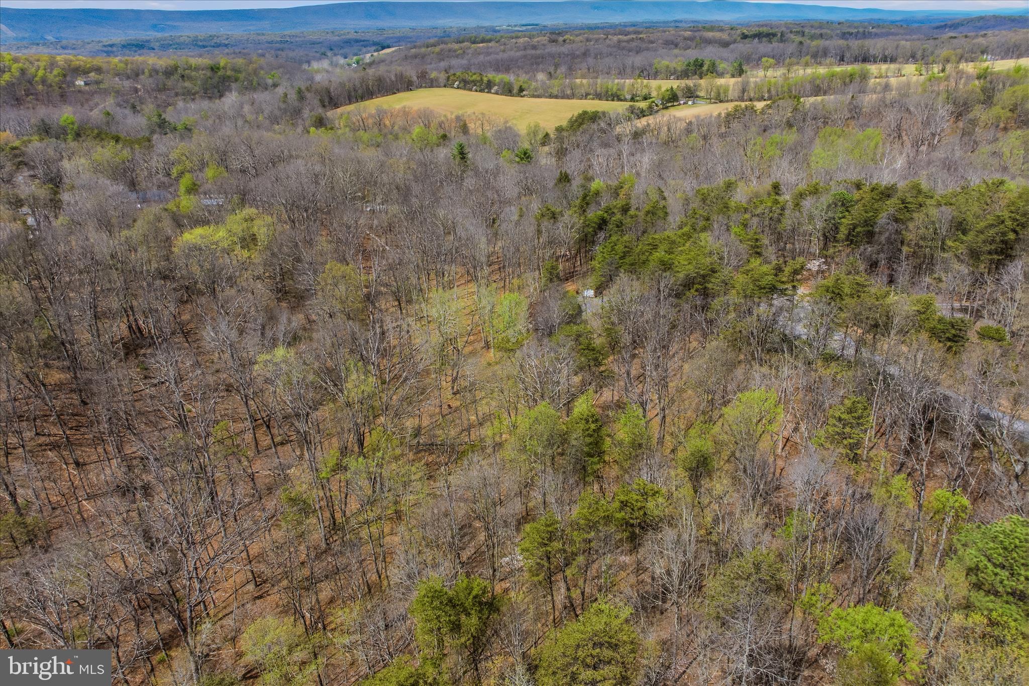 264 CLEAR SPRING LANE