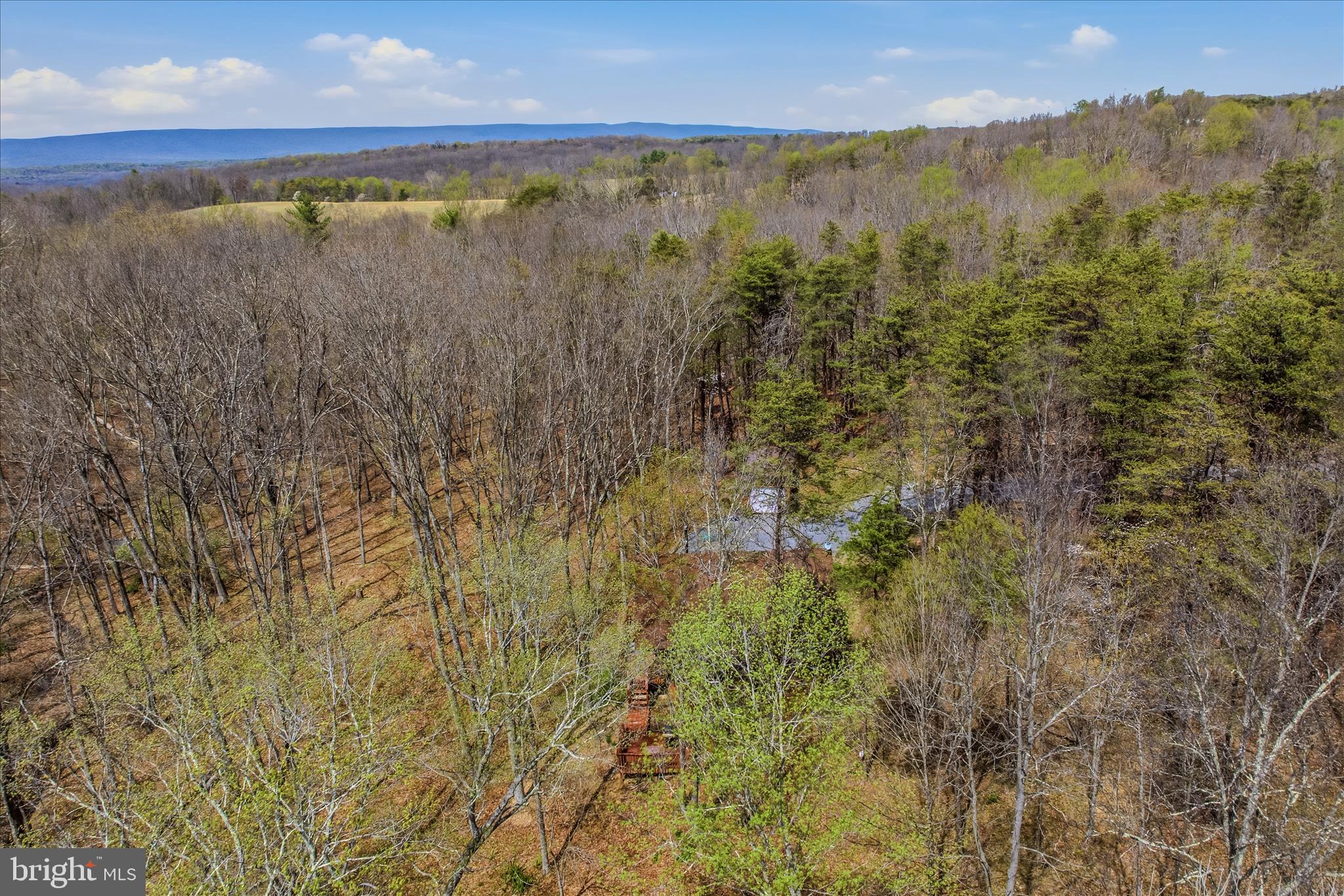 264 CLEAR SPRING LANE