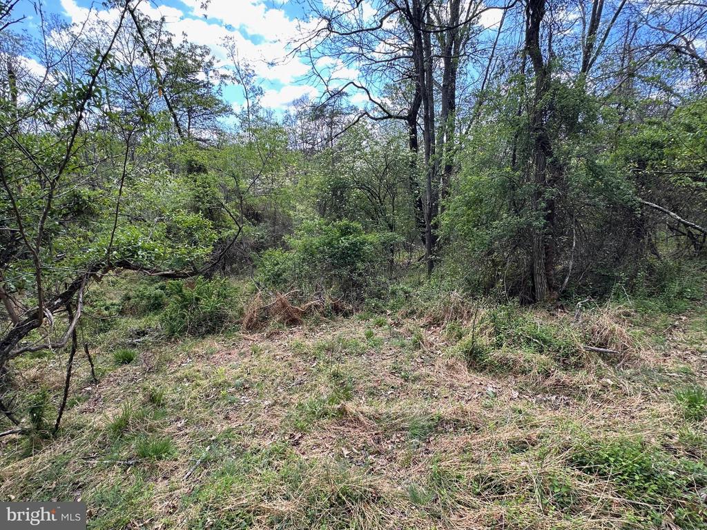 22.52 AC WINCHESTER GRADE ROAD