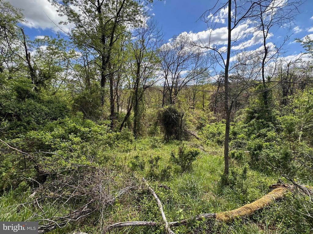 22.52 AC WINCHESTER GRADE ROAD
