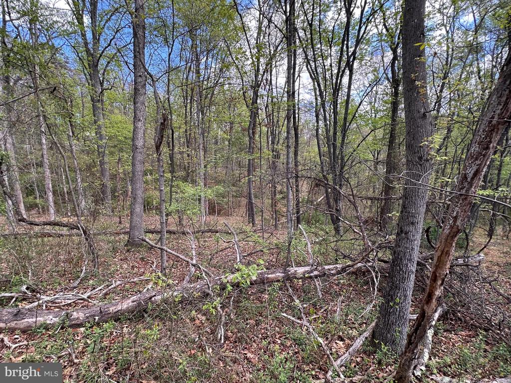 22.52 AC WINCHESTER GRADE ROAD
