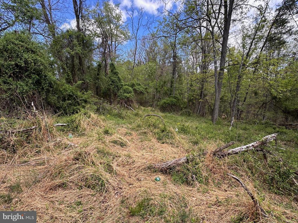 22.52 AC WINCHESTER GRADE ROAD