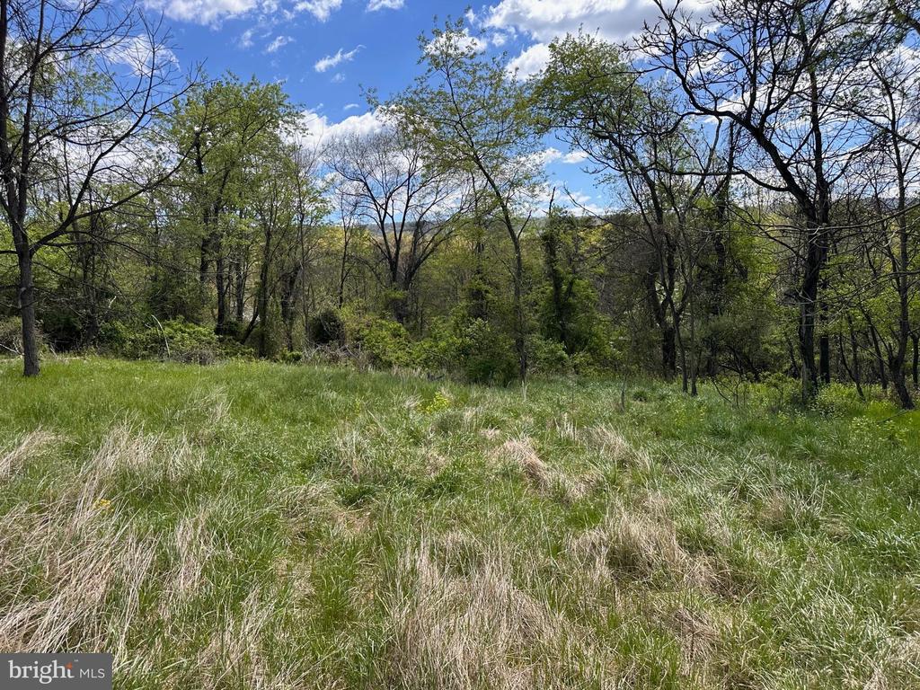 22.52 AC WINCHESTER GRADE ROAD
