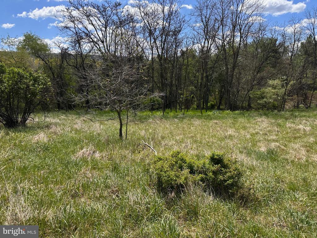 22.52 AC WINCHESTER GRADE ROAD
