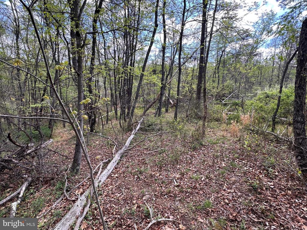 22.52 AC WINCHESTER GRADE ROAD