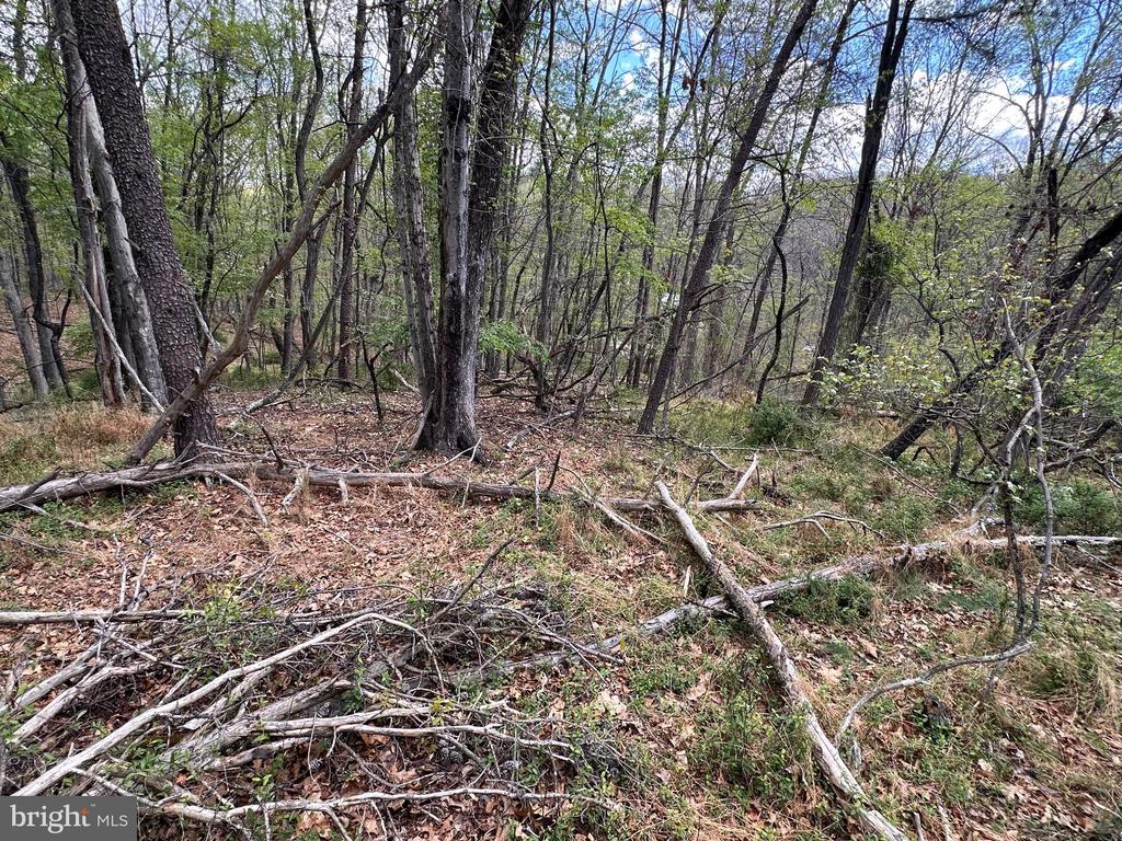 22.52 AC WINCHESTER GRADE ROAD