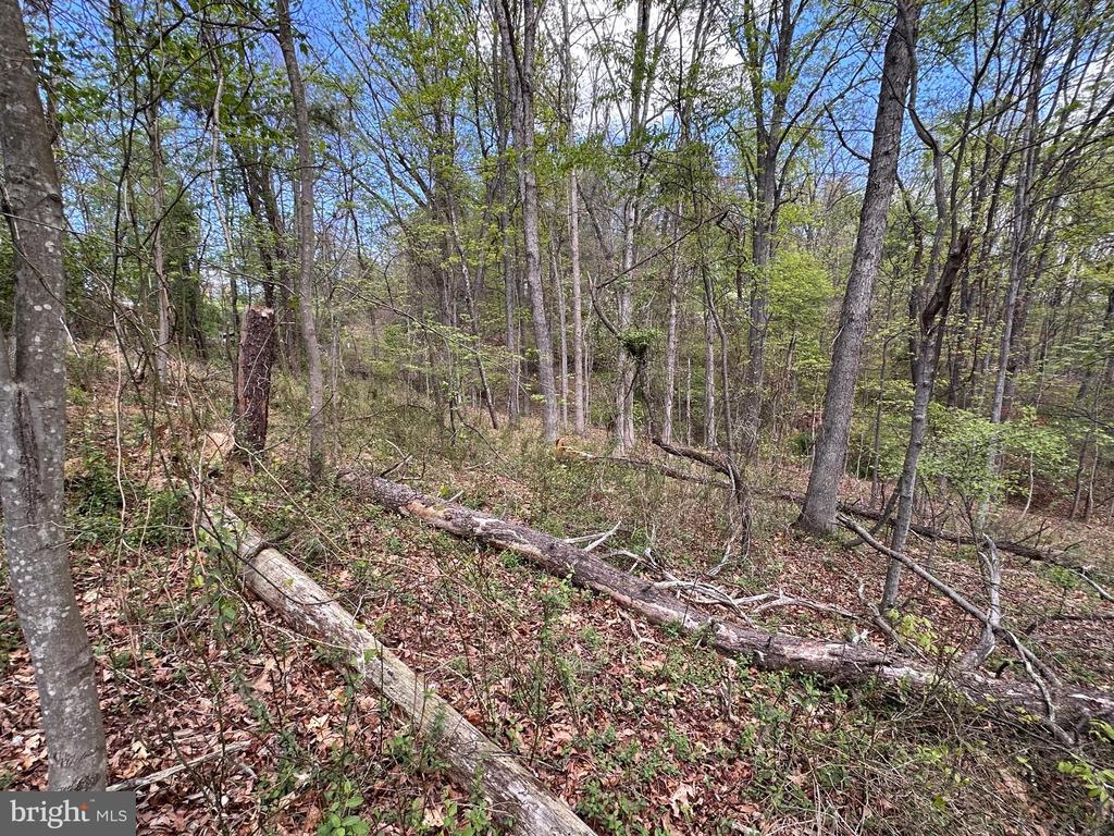 22.52 AC WINCHESTER GRADE ROAD