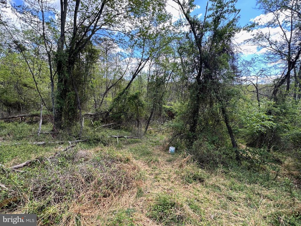 22.52 AC WINCHESTER GRADE ROAD