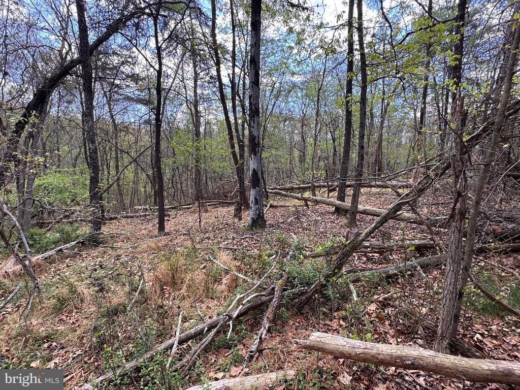 22.52 AC WINCHESTER GRADE ROAD