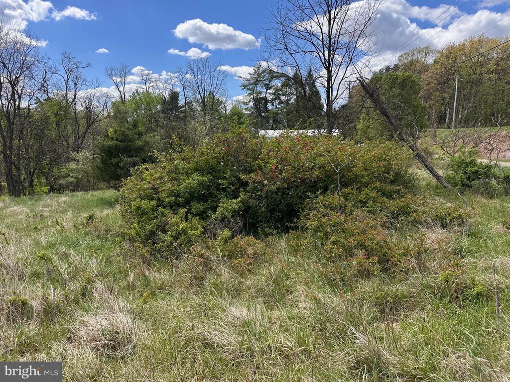 22.52 AC WINCHESTER GRADE ROAD