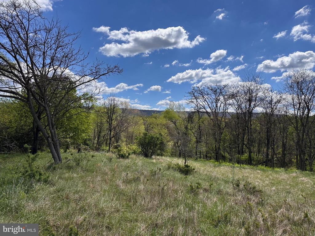 22.52 AC WINCHESTER GRADE ROAD