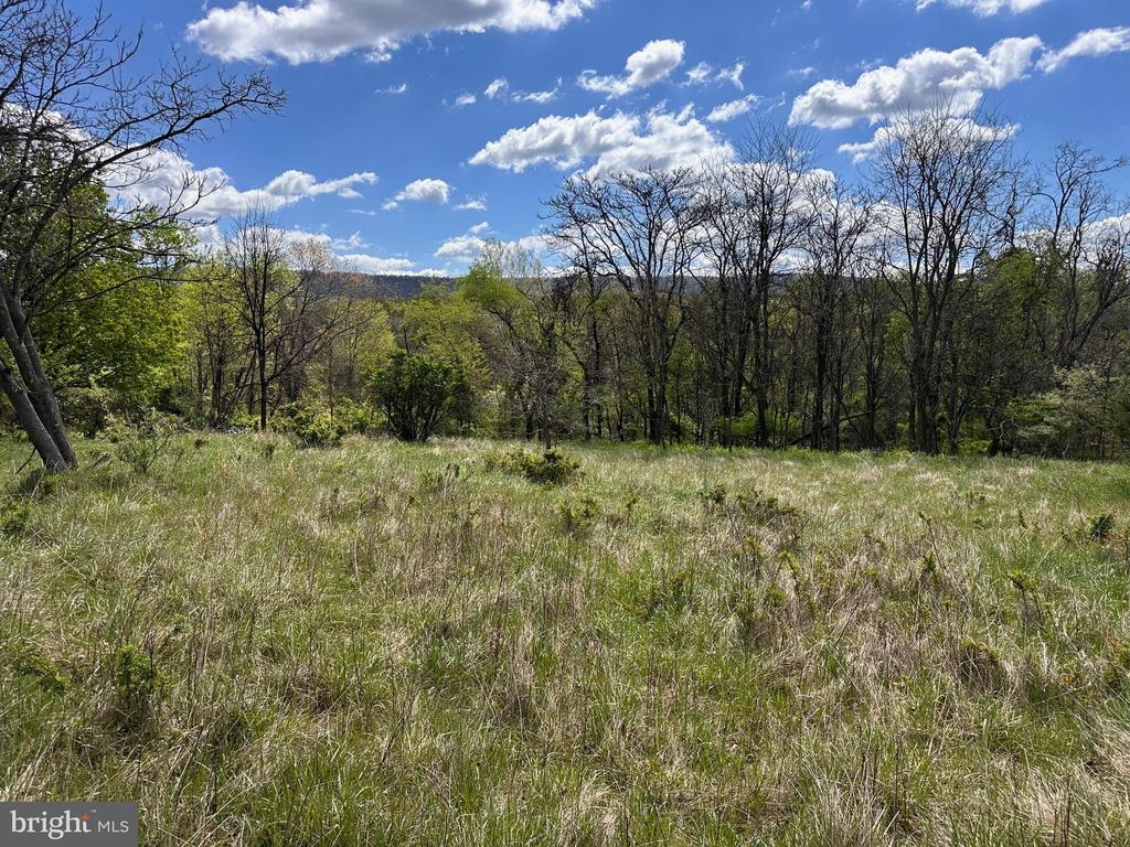 22.52 AC WINCHESTER GRADE ROAD