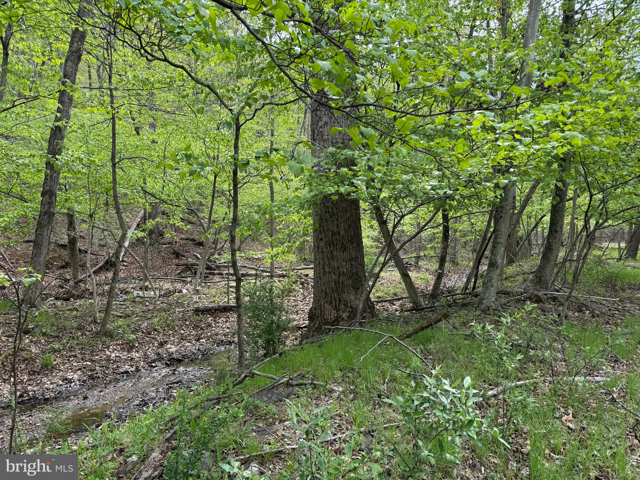 ROCK GAP