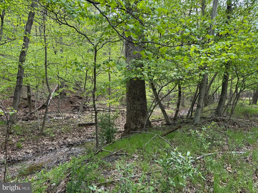 ROCK GAP