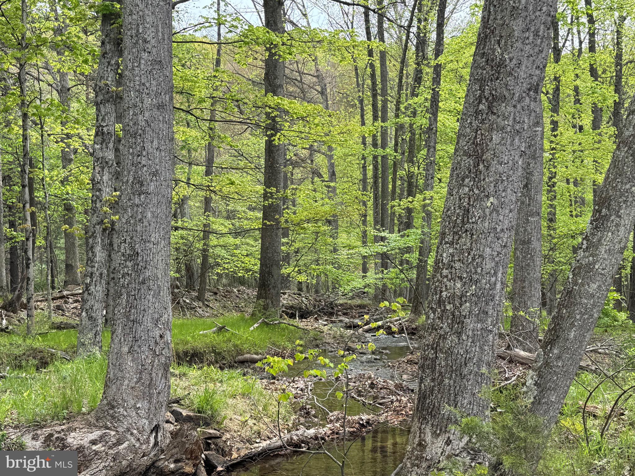 ROCK GAP