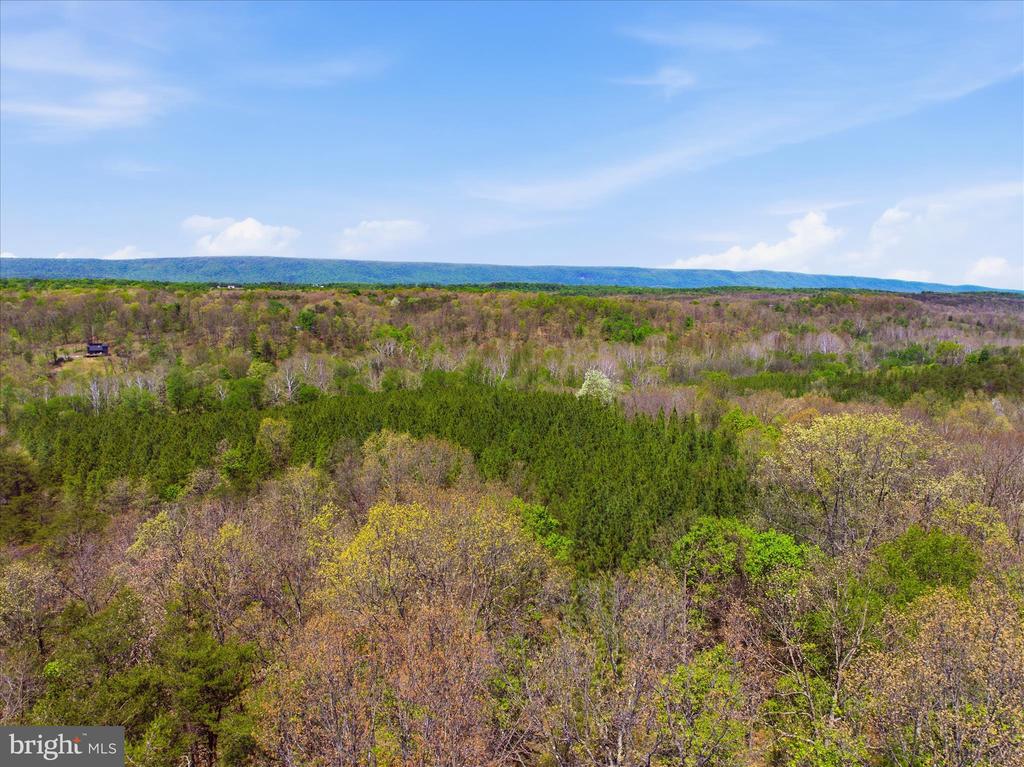 Off VIRGINIA LINE