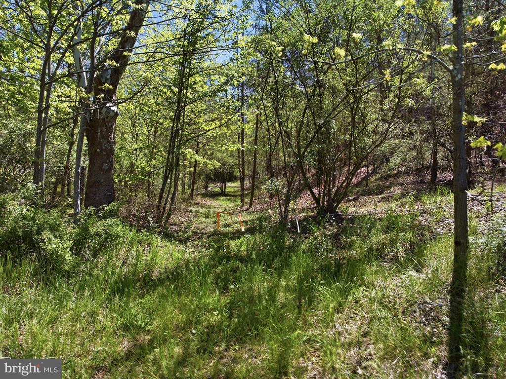 Off VIRGINIA LINE