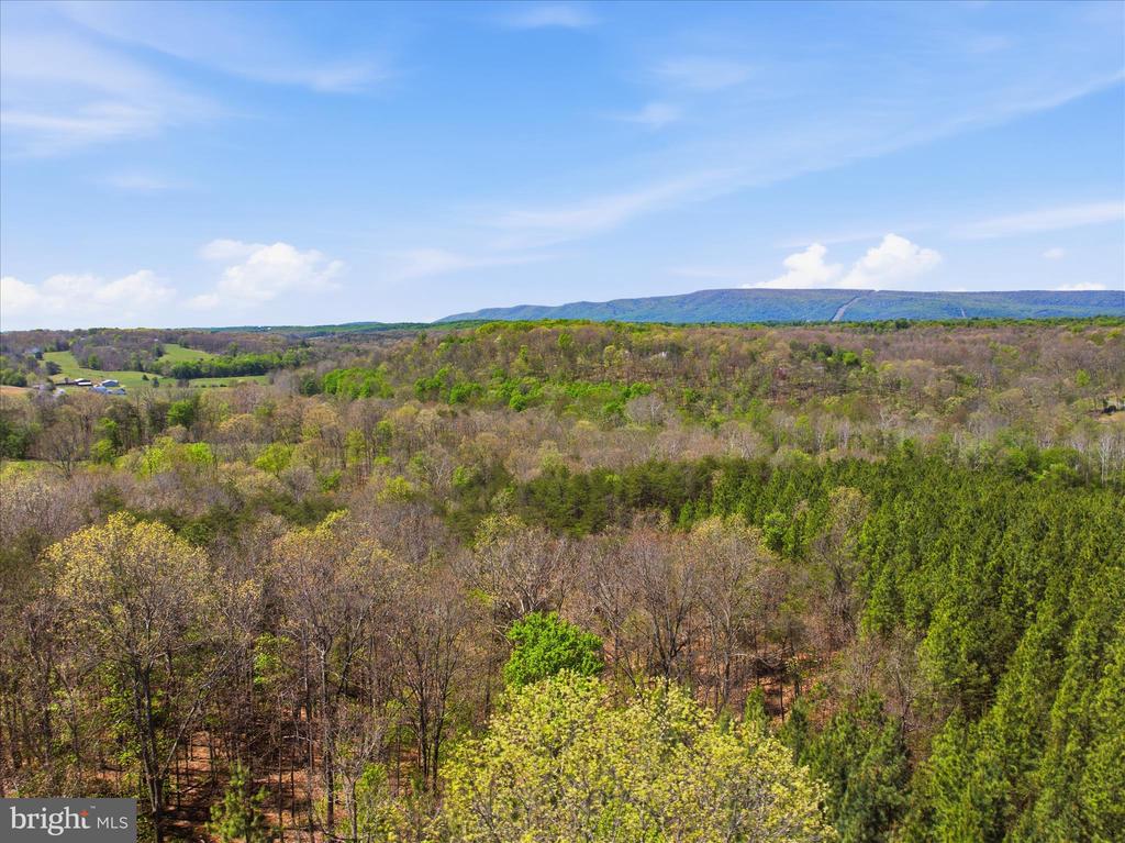 Off VIRGINIA LINE