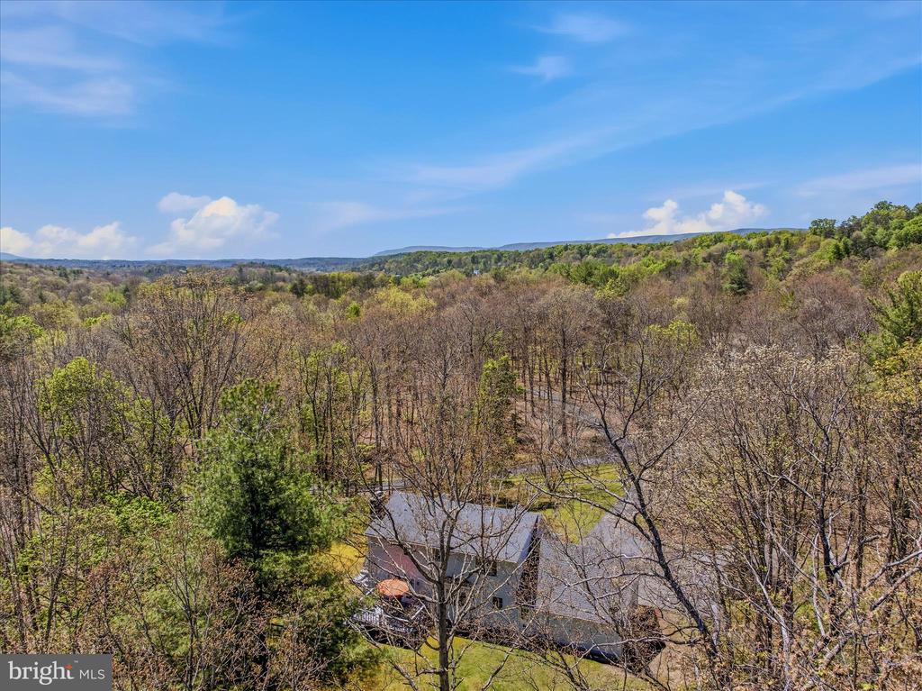 45 CLEAVELAND ACRES COURT