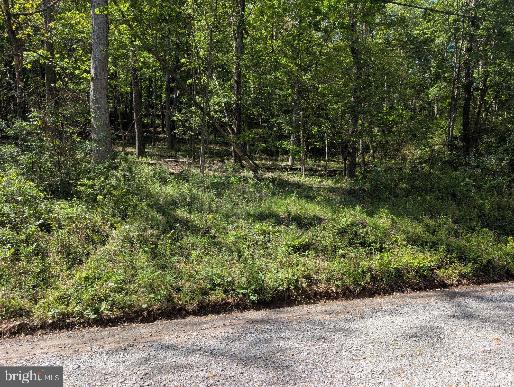 301 BOTTOM ROAD