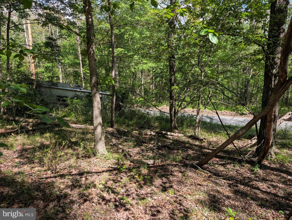 301 BOTTOM ROAD