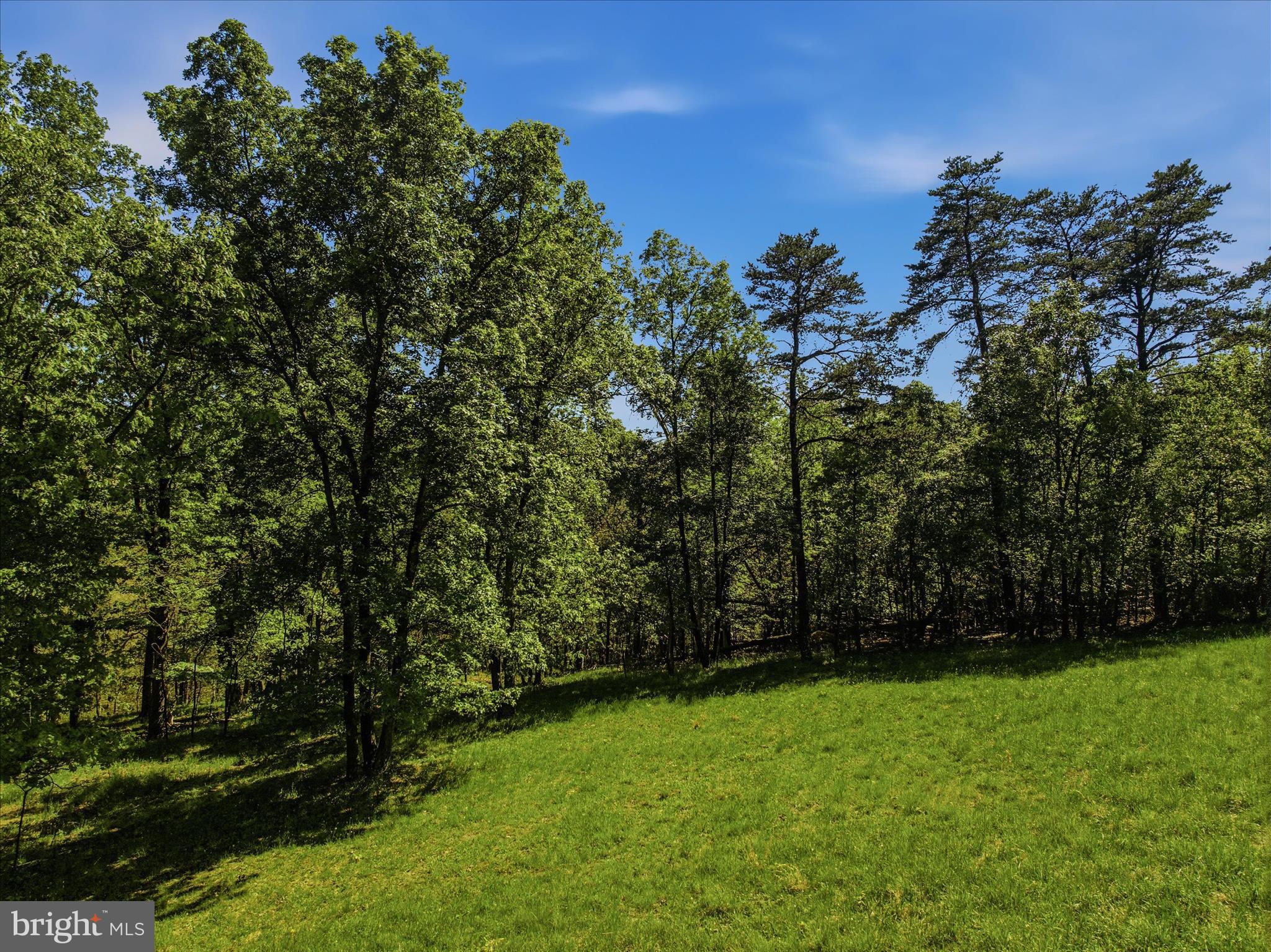 FORESTVIEW LANE