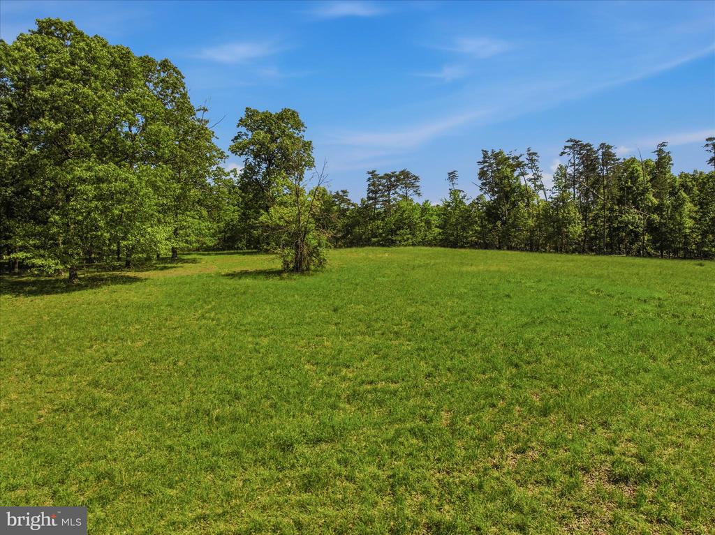 FORESTVIEW LANE