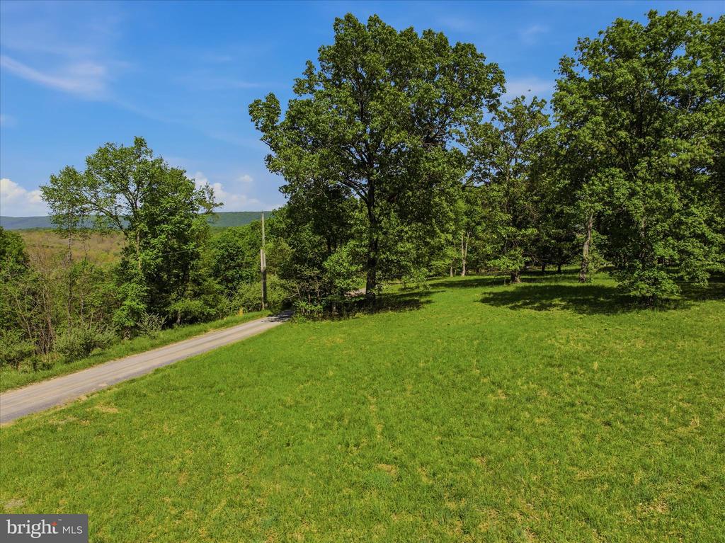 FORESTVIEW LANE
