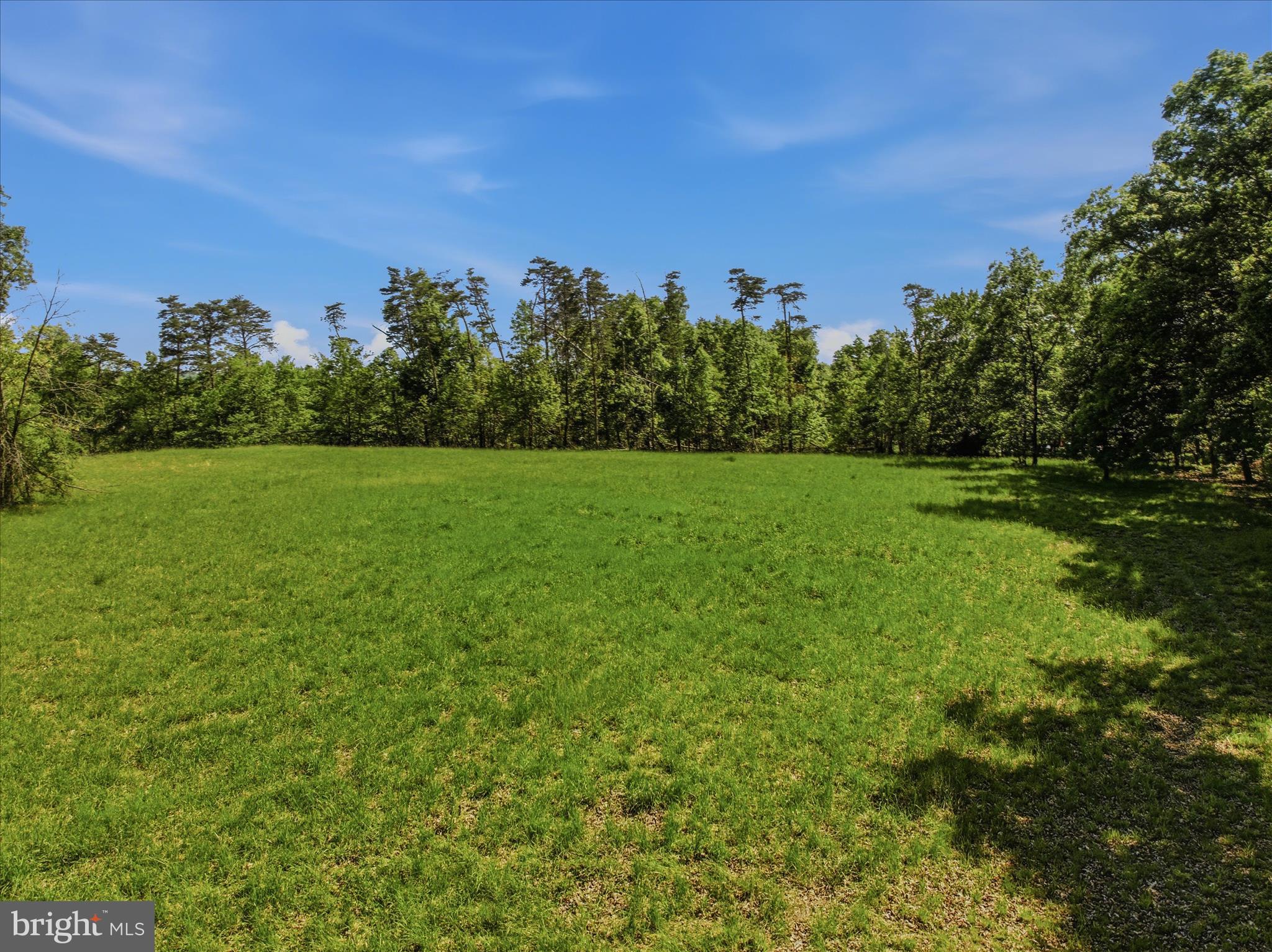 FORESTVIEW LANE