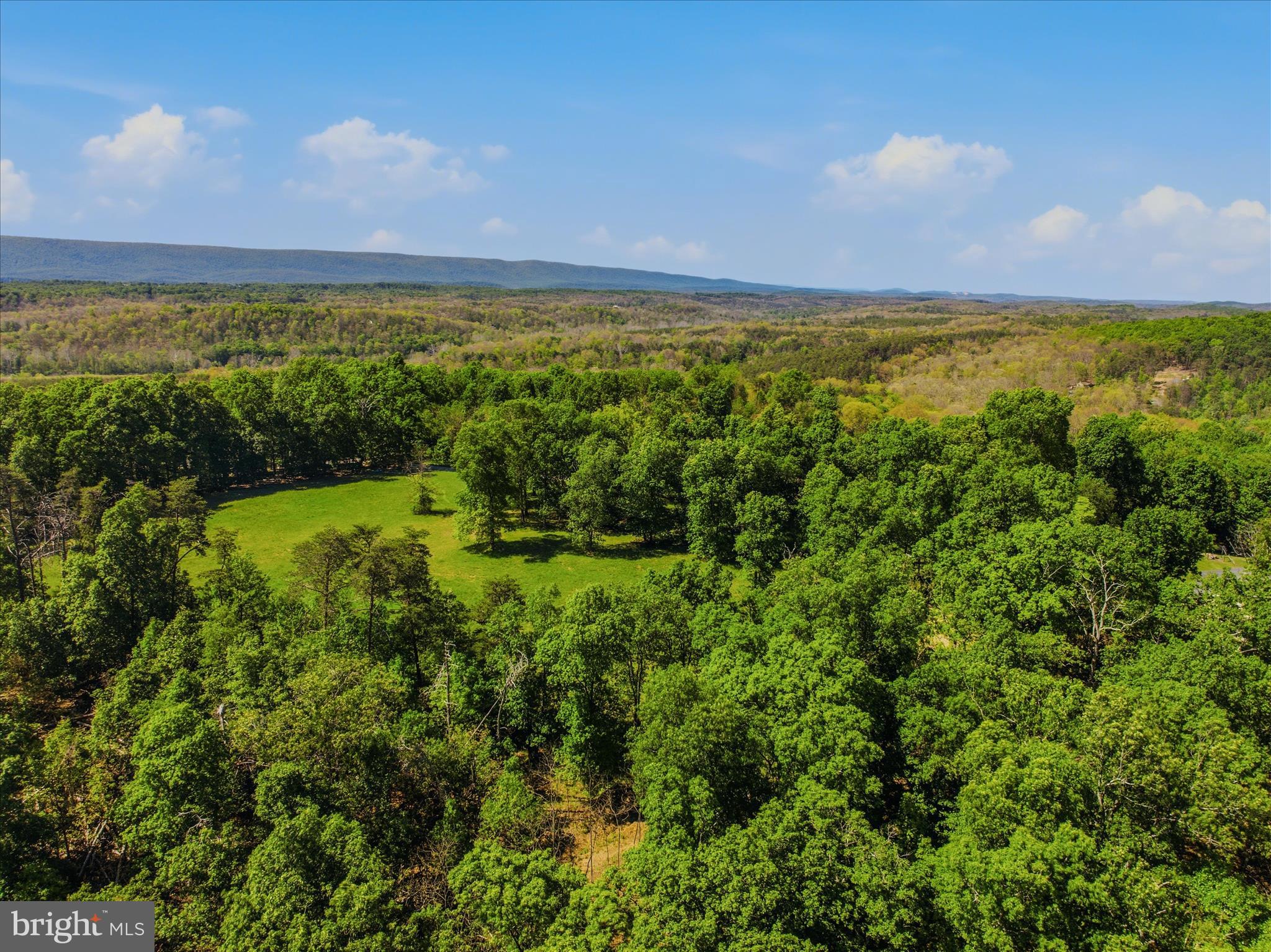 FORESTVIEW LANE