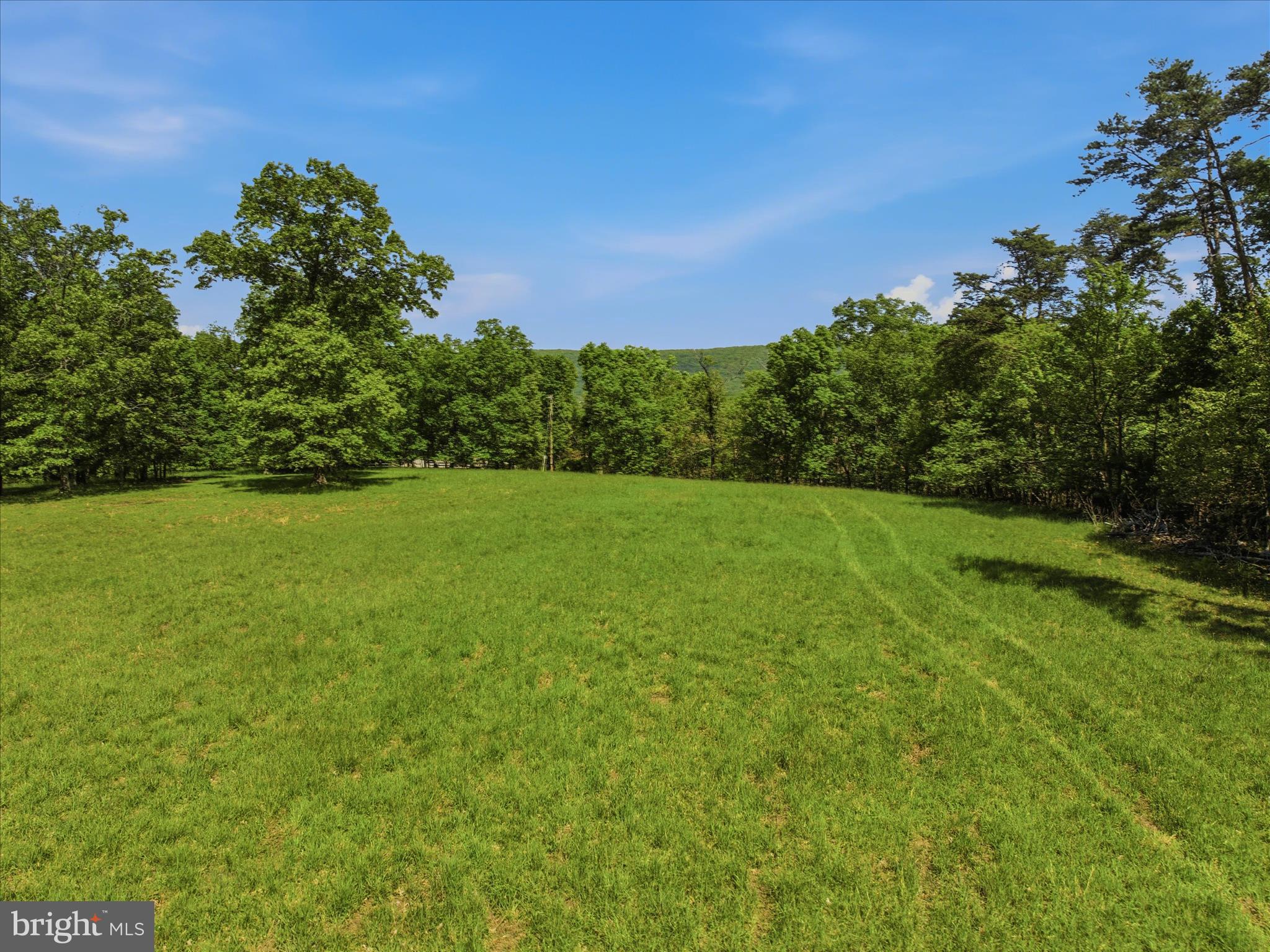 FORESTVIEW LANE