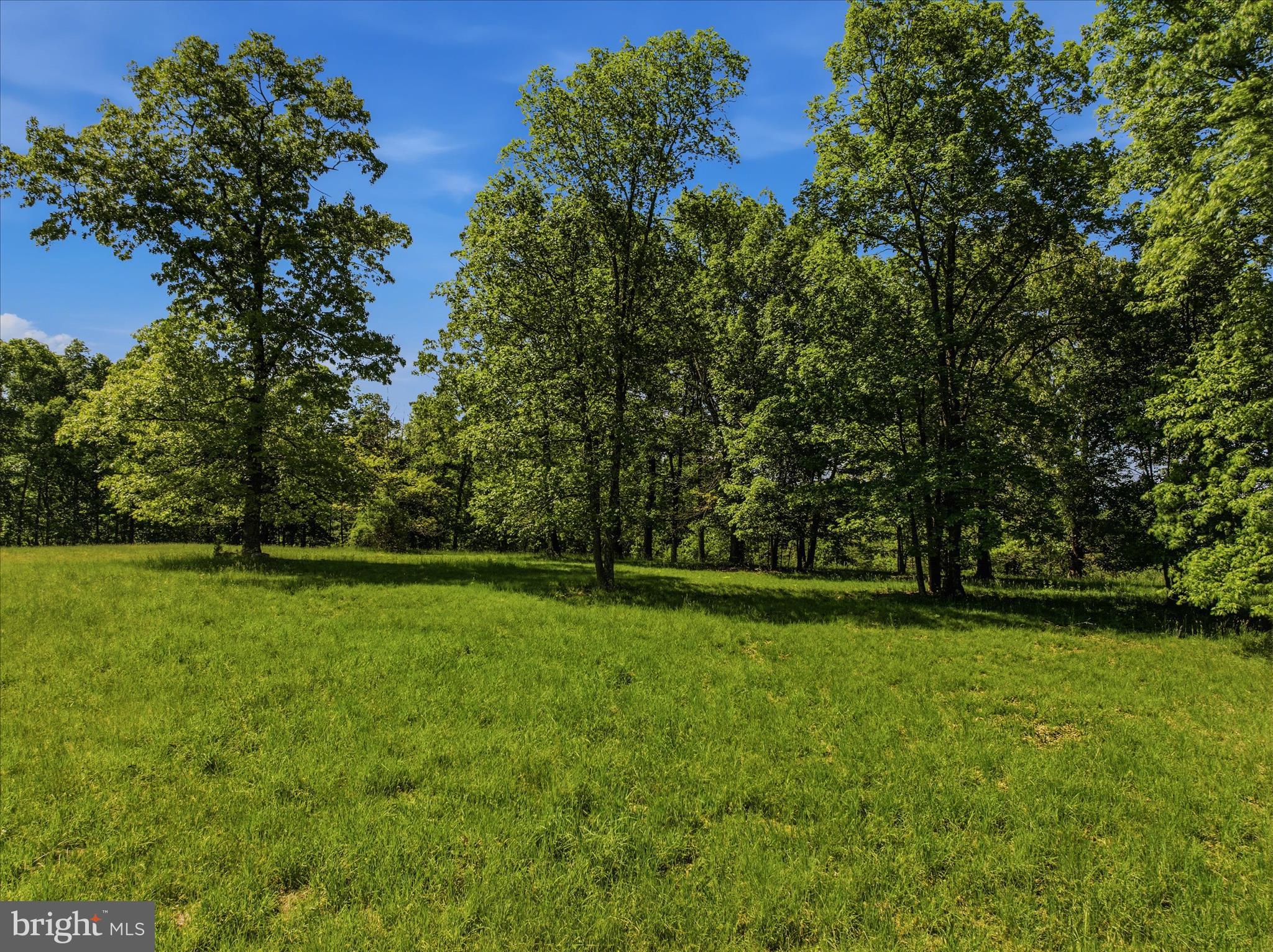 FORESTVIEW LANE