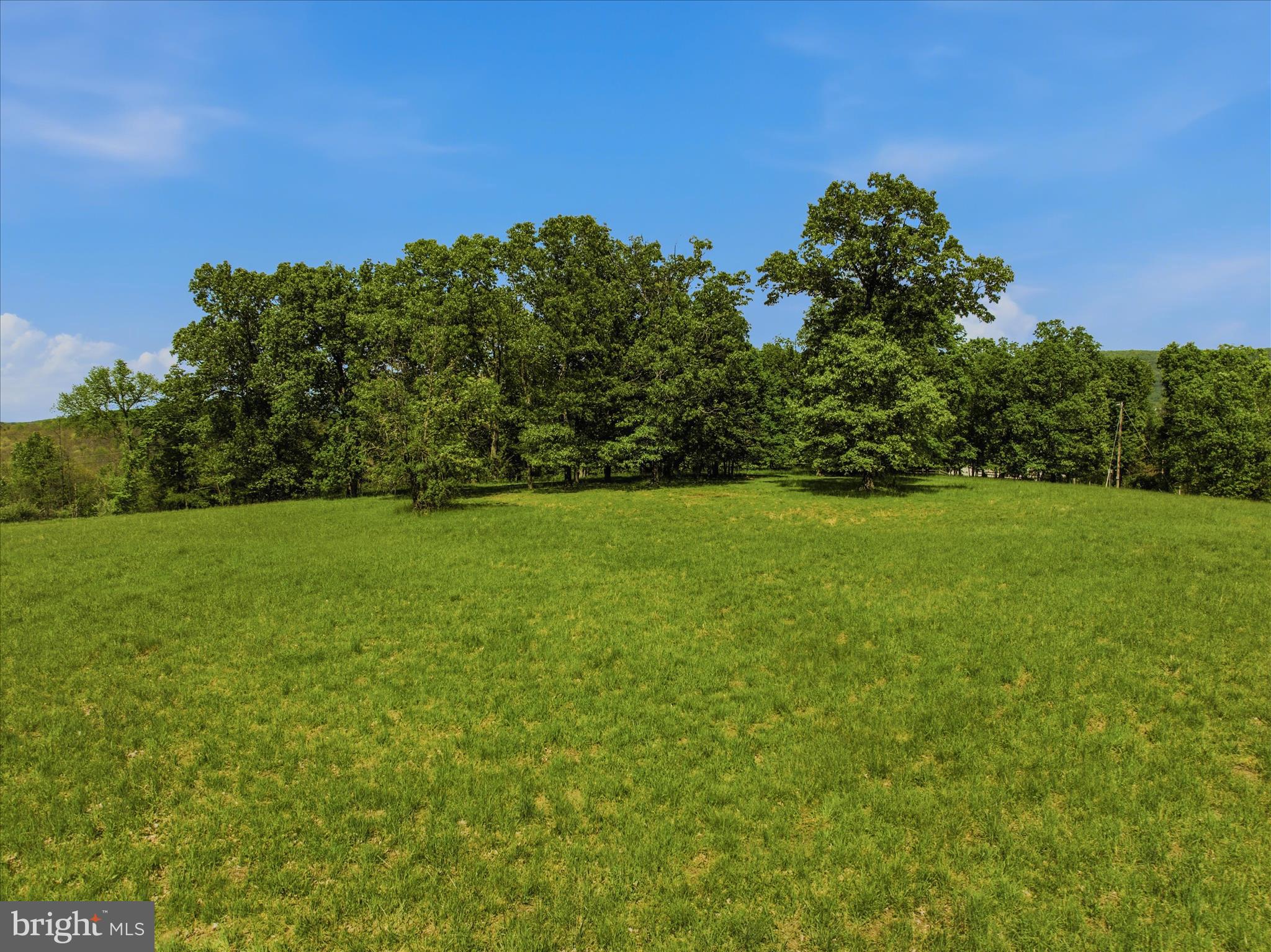 FORESTVIEW LANE