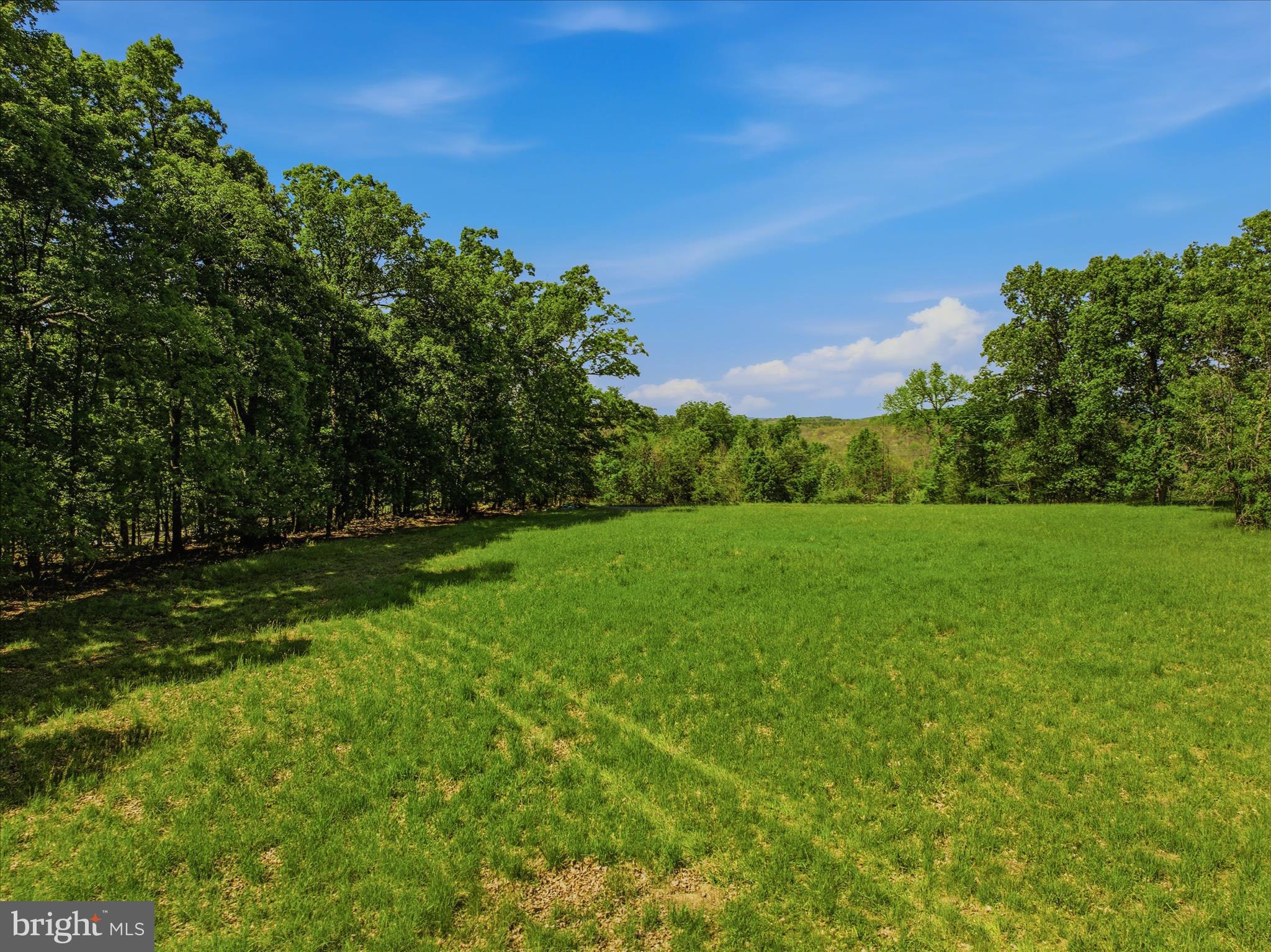 FORESTVIEW LANE